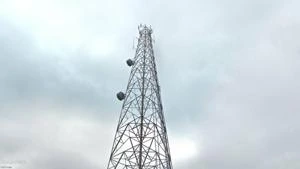 Picture provided by B7C 01/19/2025