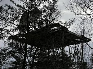 Picture provided by B7C 02/20/2025