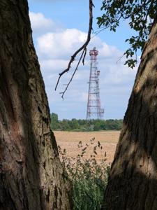 Sunnyland, Illinois