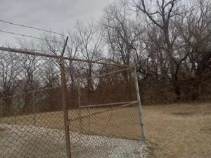 Picture provided by Michael B. 02/27/2025